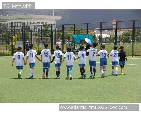 畅玩足球在线游戏大全尽享激情与乐趣的足球世界体验